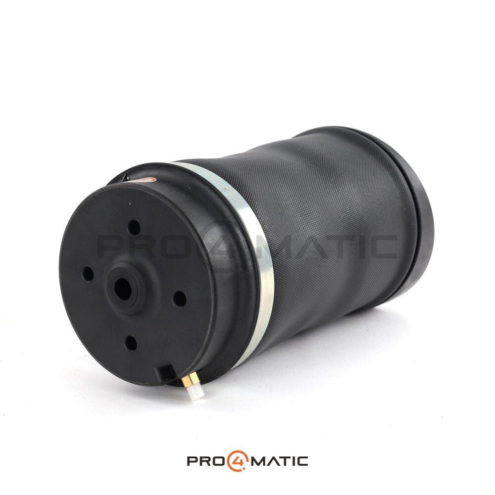 Balona trasera Mercedes Clase R W251 Airmatic OEM (4)