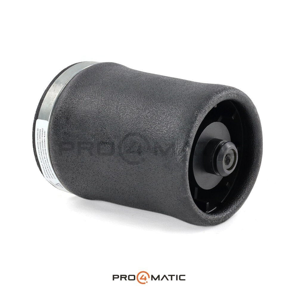 Balona Neumática BMW X5 E53 Tras. Izq. (3)