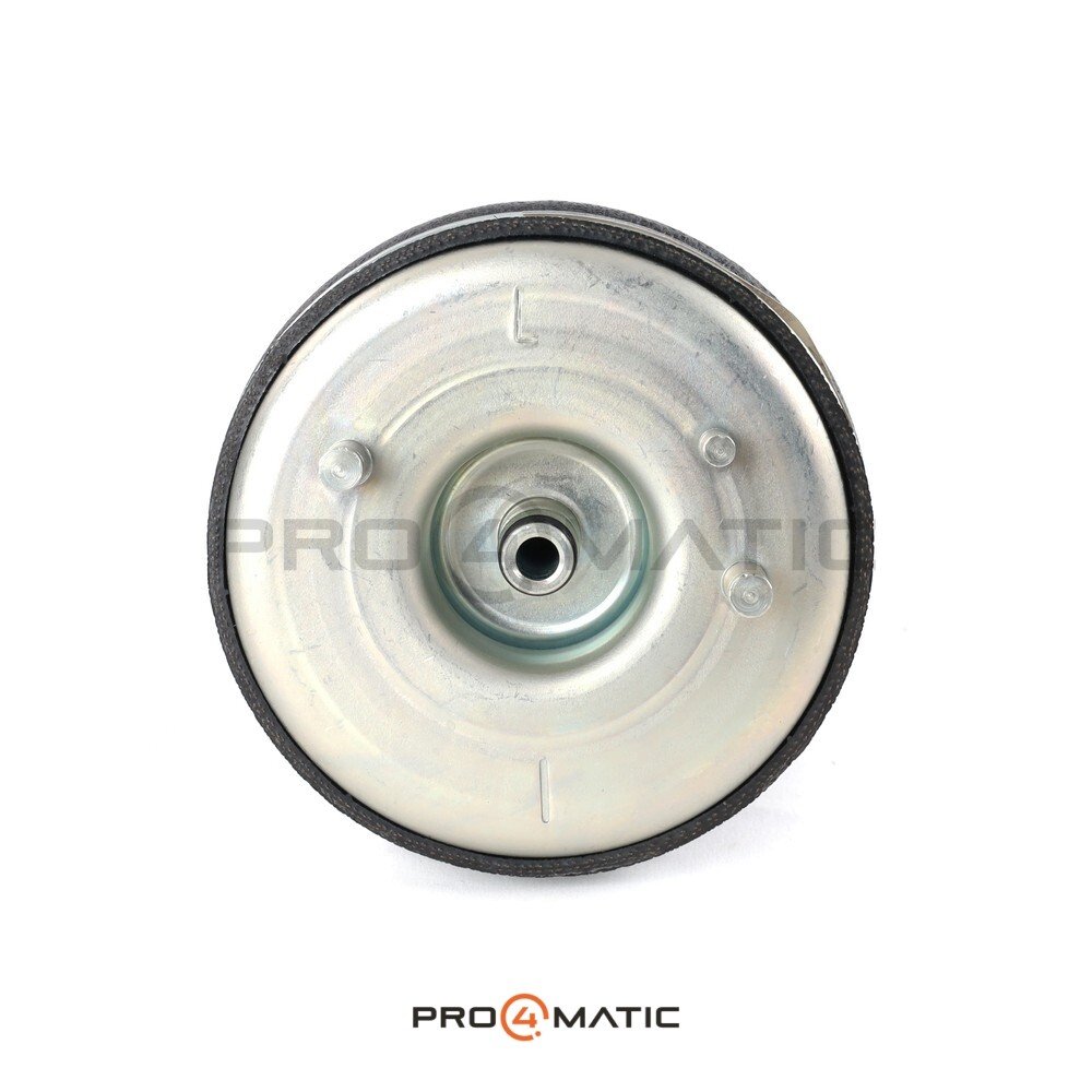 Balona Neumática BMW X5 E53 Tras. Izq. (5)