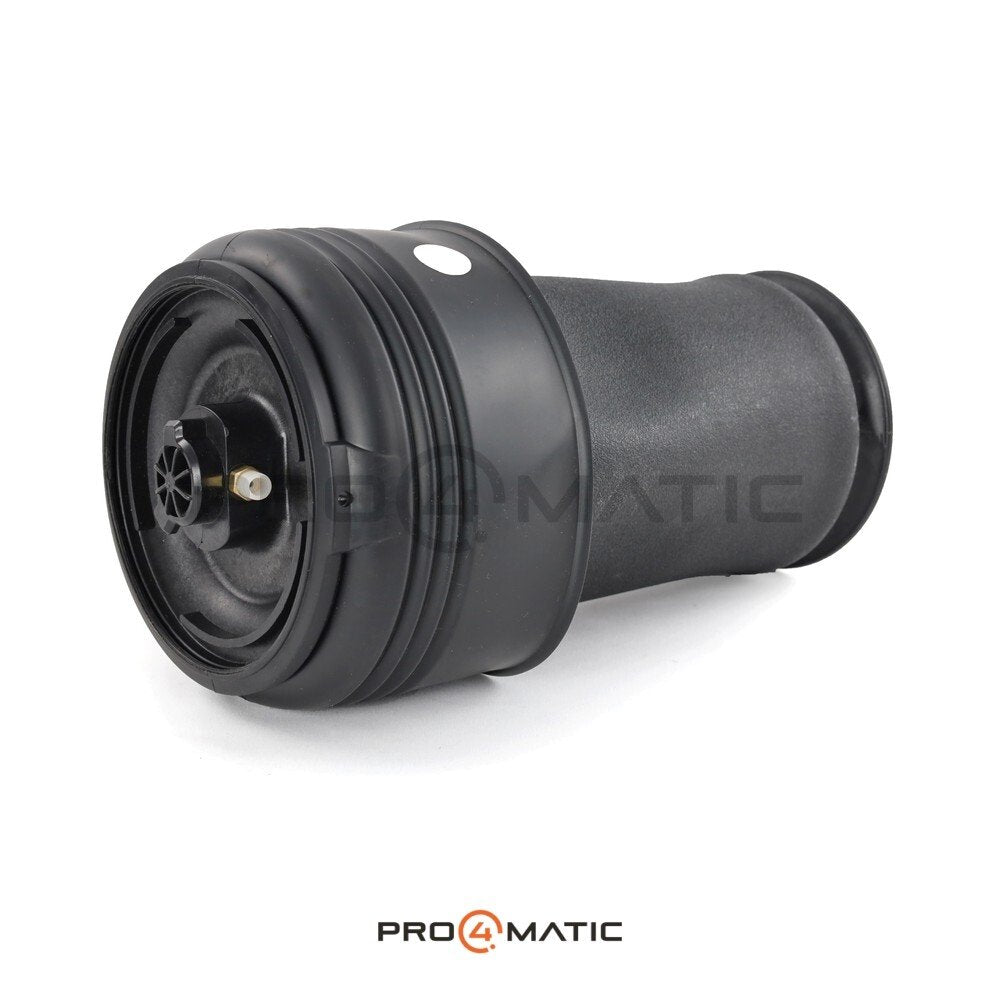 Balona Trasera BMW X5 F15 Neumática (3)