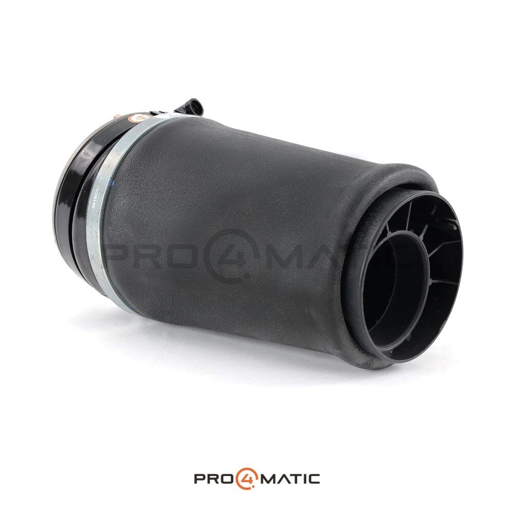 Balona Suspensión Neumática Range Rover L322 Dcha. (3)