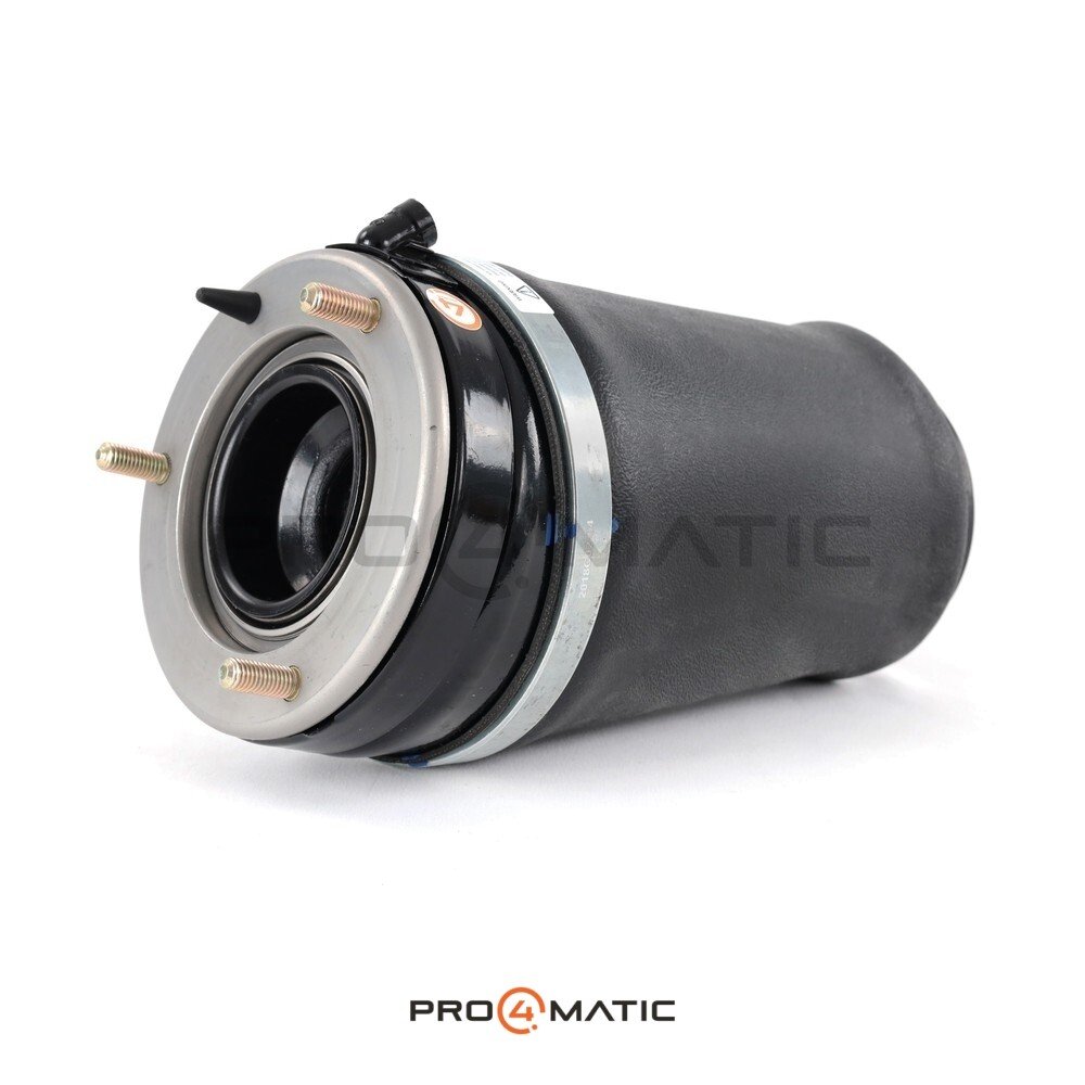 Balona Suspensión Neumática Range Rover L322 Dcha. (4)
