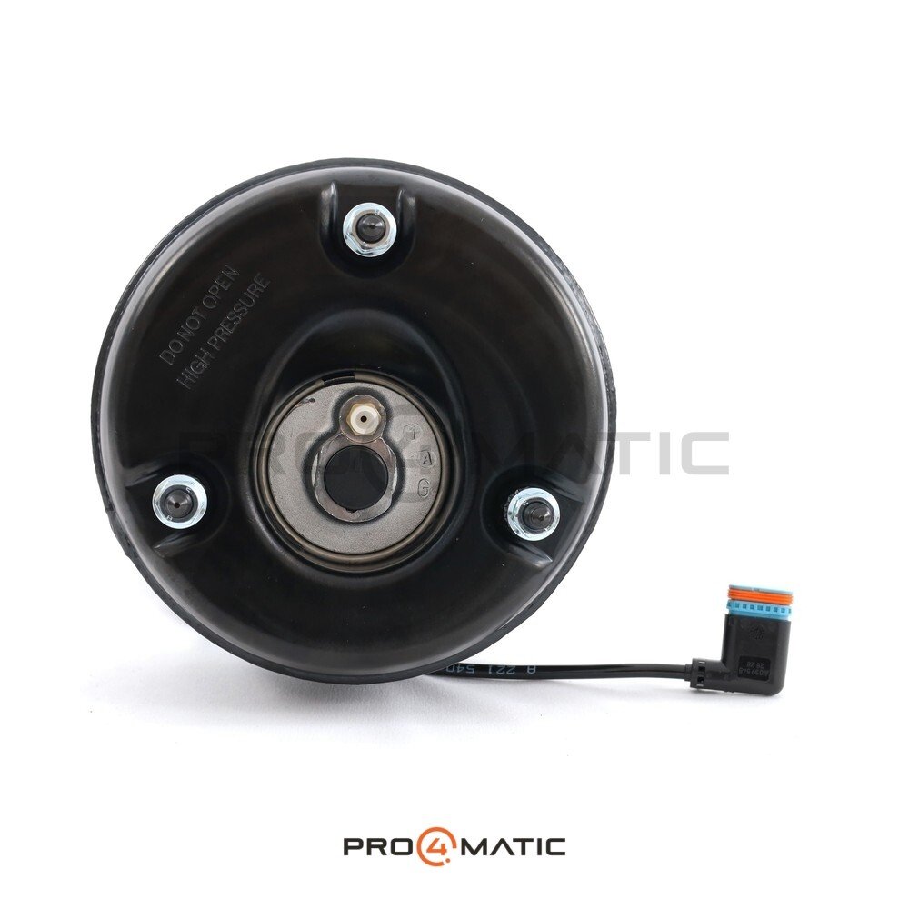 Amortiguador Clase S W221 AIRMATIC Izq. (5)