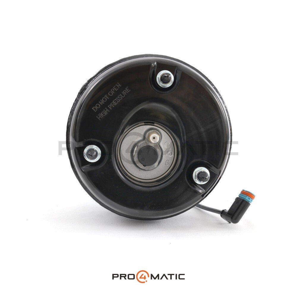 Amortiguador Clase S W221 AIRMATIC Tras. Dcha. (5)