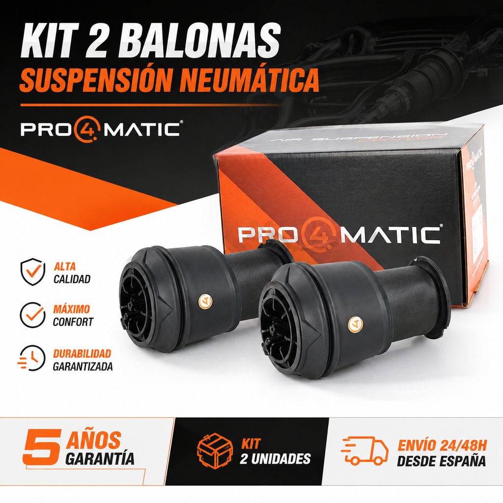 Kit 2 Balonas Neumáticas C4 Picasso (1)