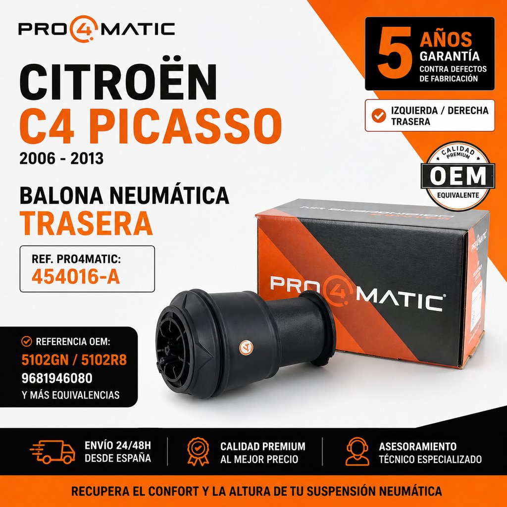 Kit 2 Balonas Neumáticas C4 Picasso (2)