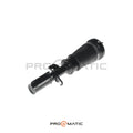 Amortiguador Delantero Izquierdo BMW X5 E53 (1)