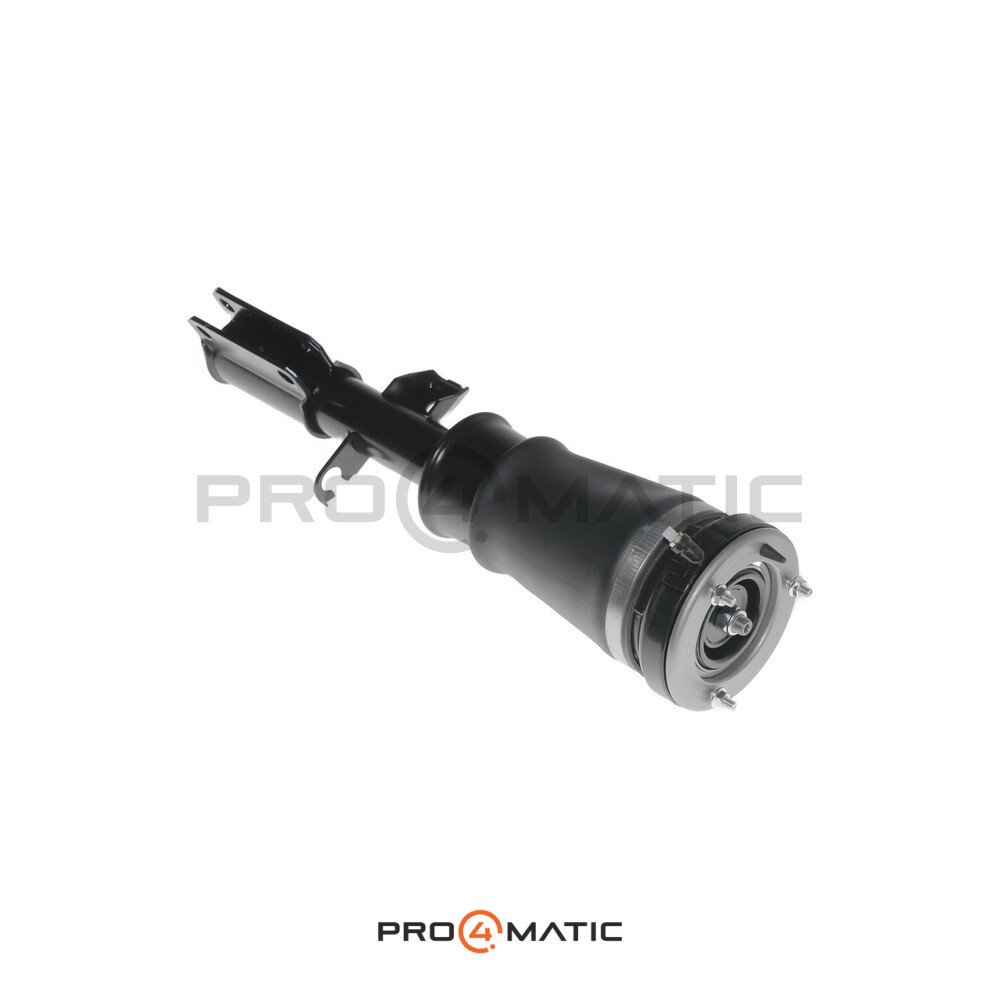 Amortiguador Delantero Izquierdo BMW X5 E53 (4)