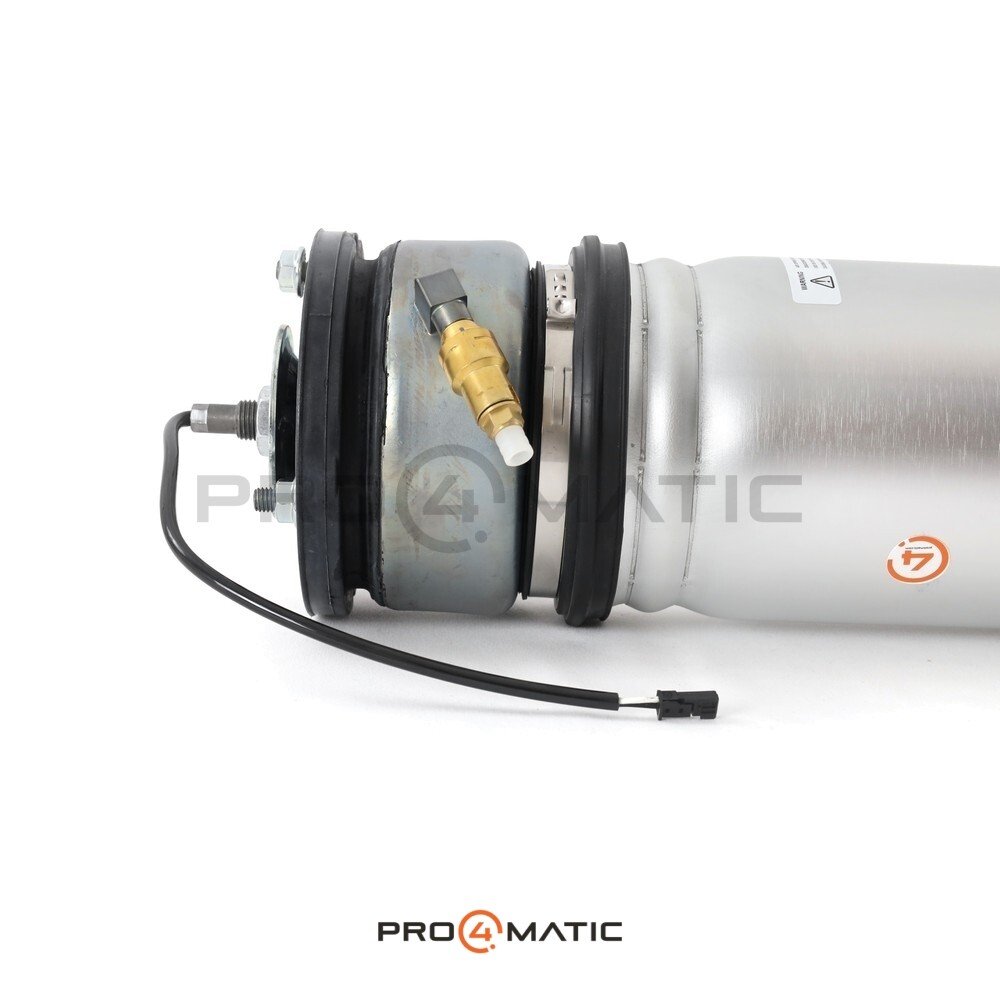 Amortiguador Trasero Izquierdo BMW Serie 7 E65 (5)
