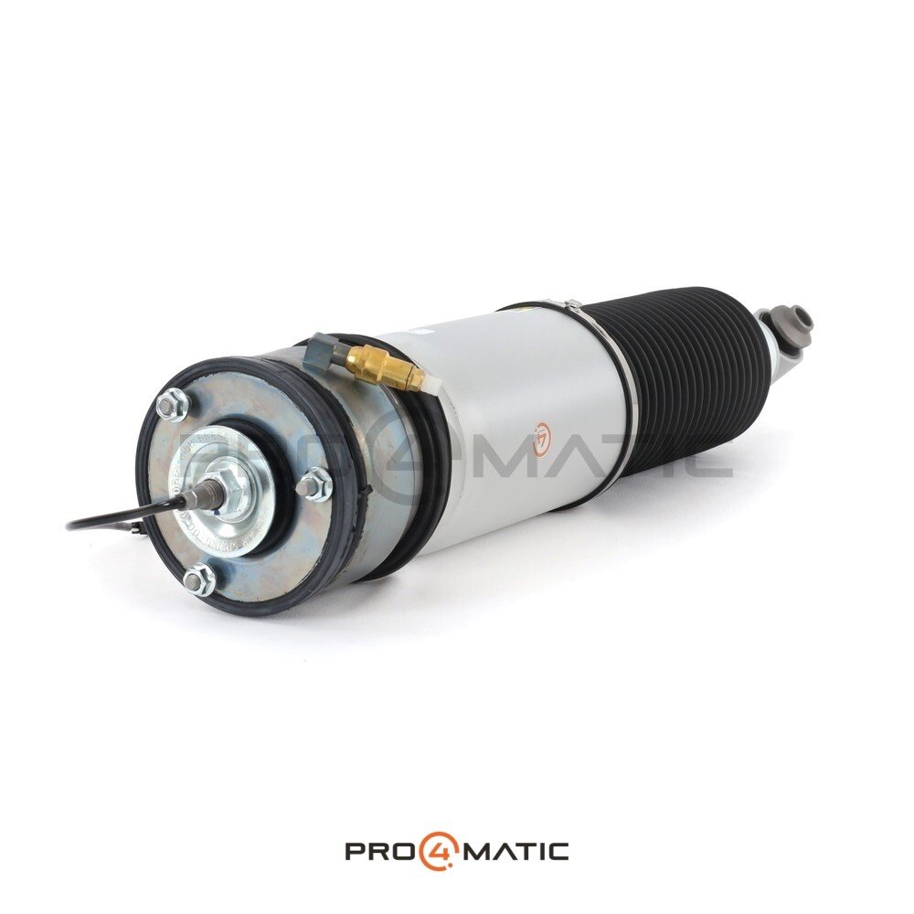 Amortiguador Trasero Izquierdo BMW Serie 7 E65 (4)