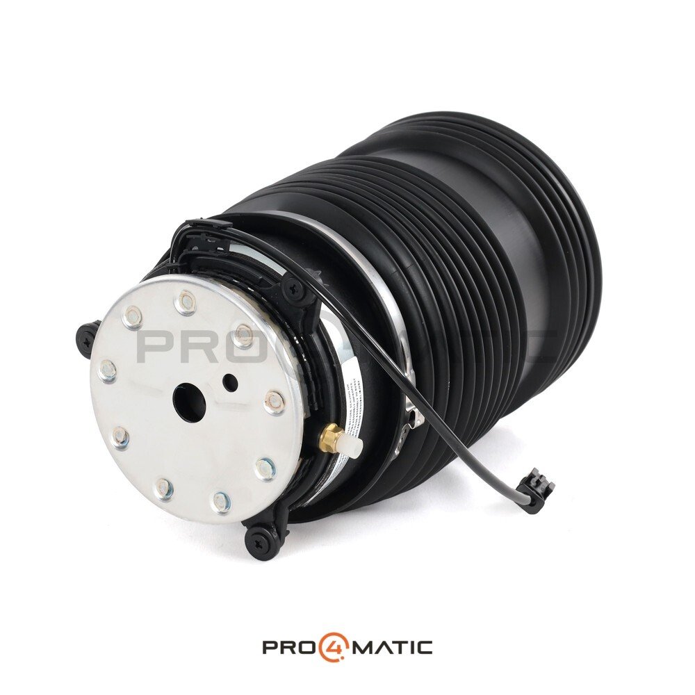 Balona Neumática Trasera Izquierda W213 OEM (4)