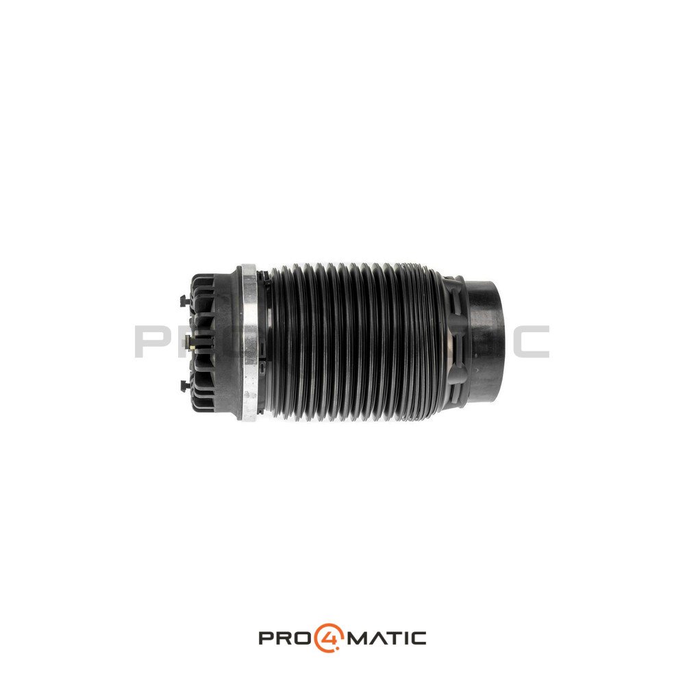 Balona Neumática Trasera Dodge RAM 1500 OEM (5)