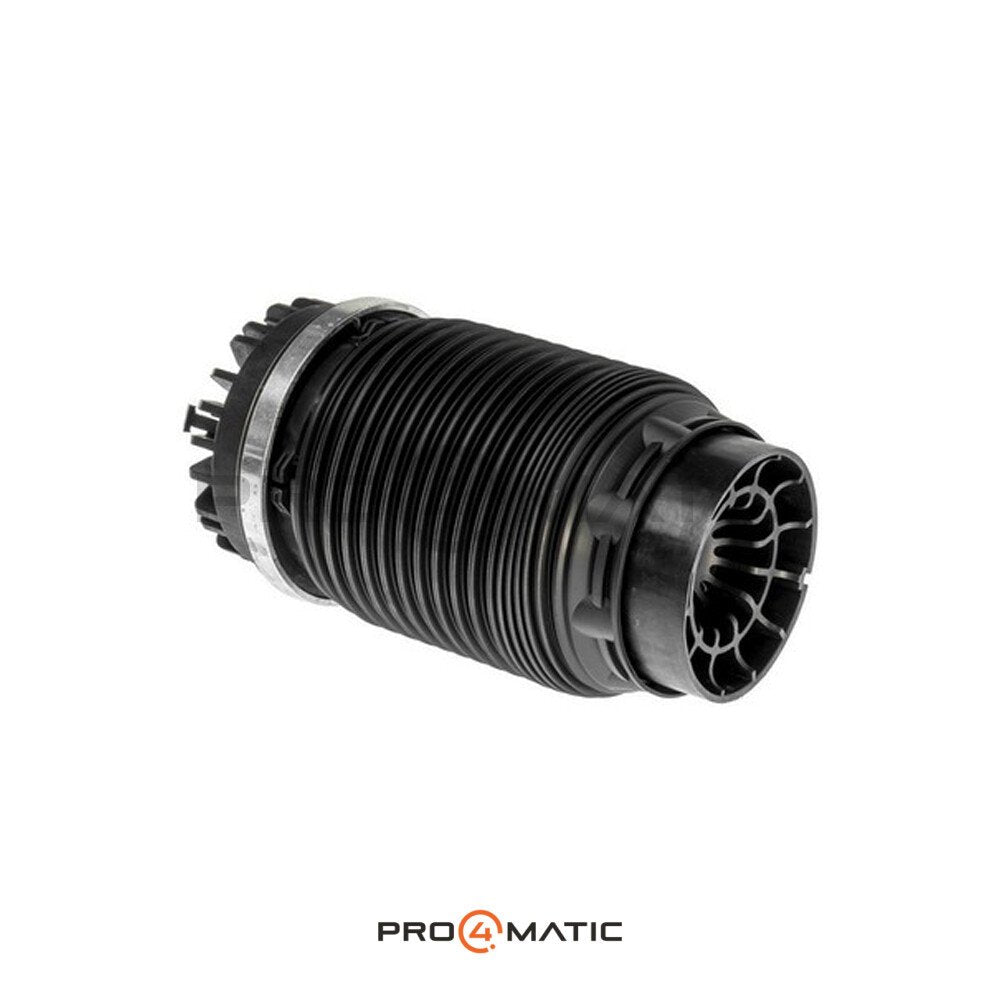 Balona Neumática Trasera Dodge RAM 1500 OEM (2)