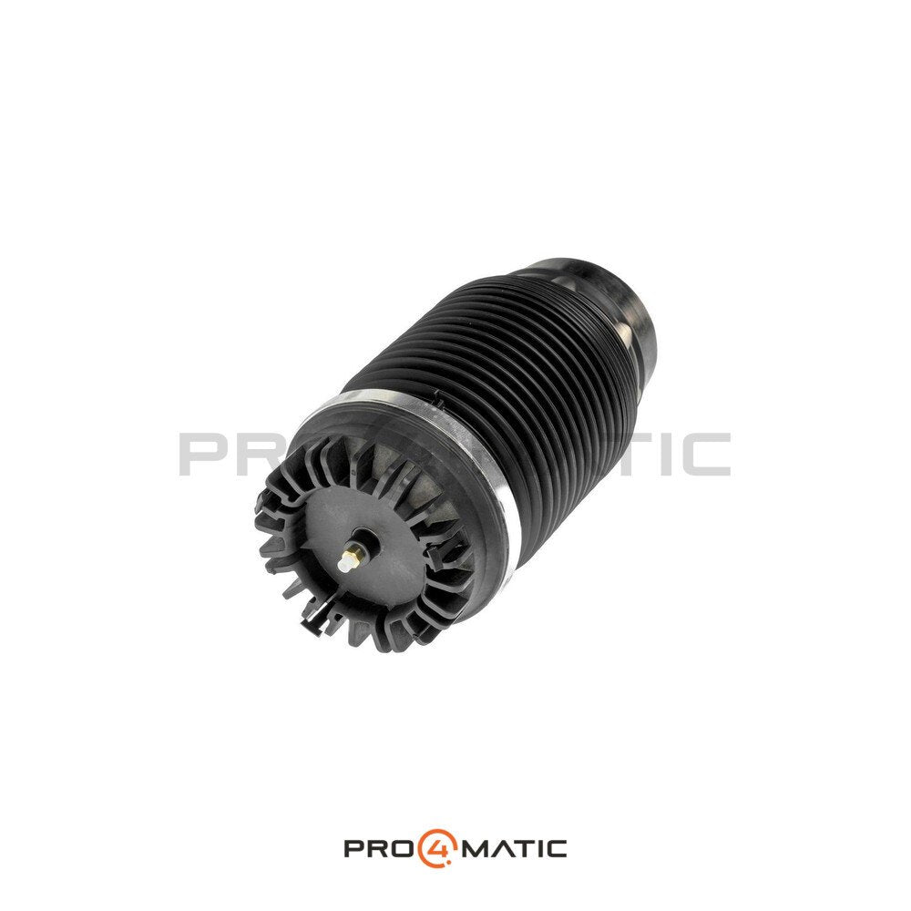 Balona Neumática Trasera Dodge RAM 1500 OEM (3)