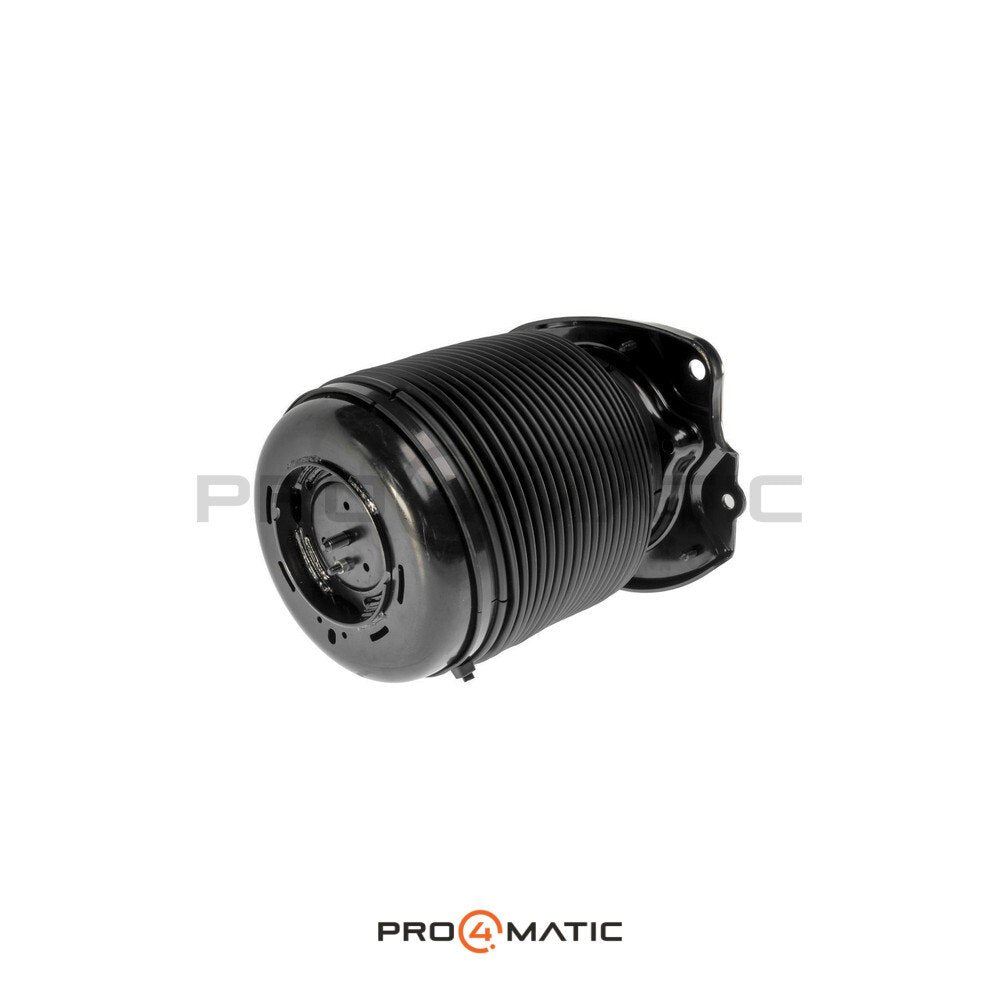 Balona Neumática Trasera Derecha Lexus RX (3)