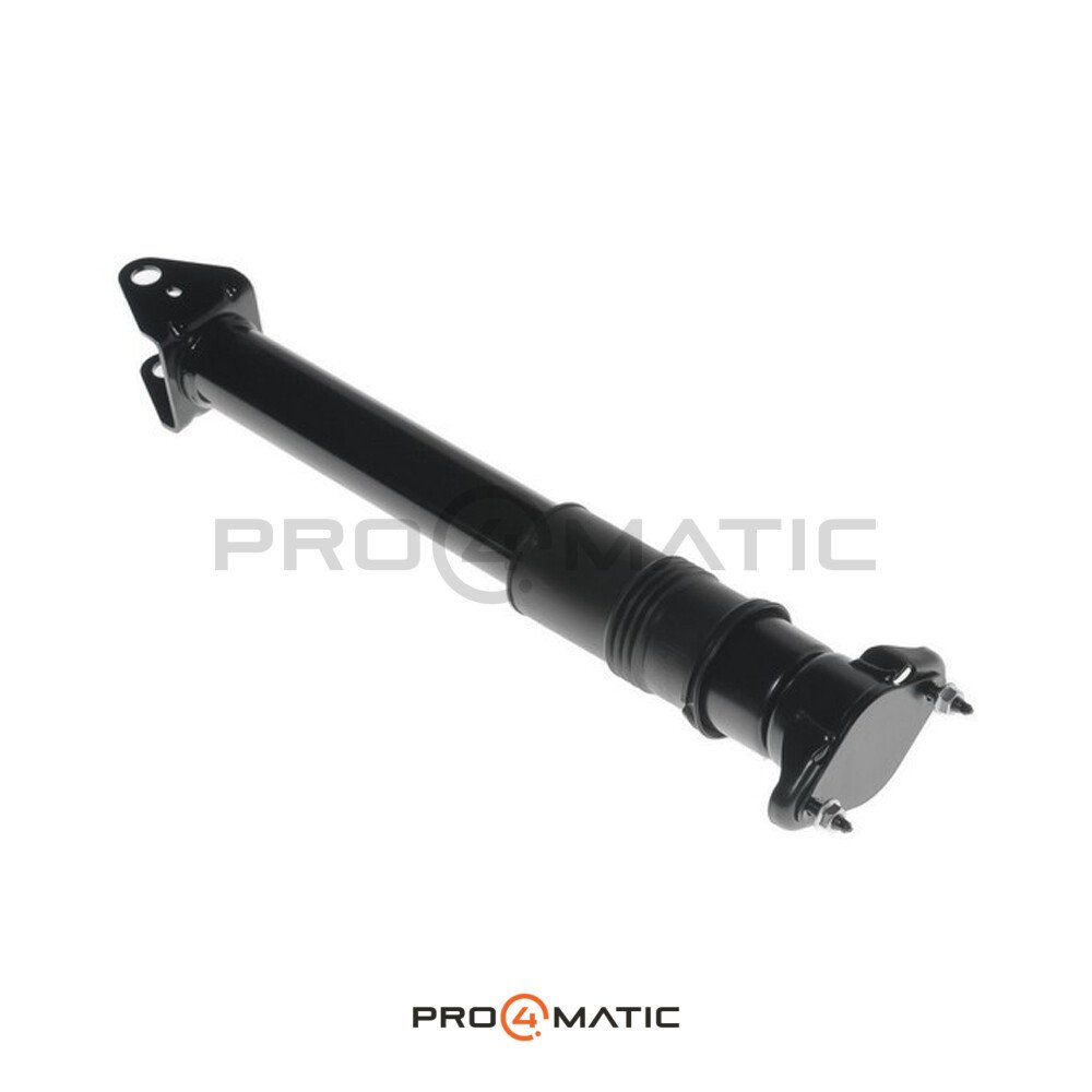 Amortiguador Trasero Mercedes Clase R W251 (1)