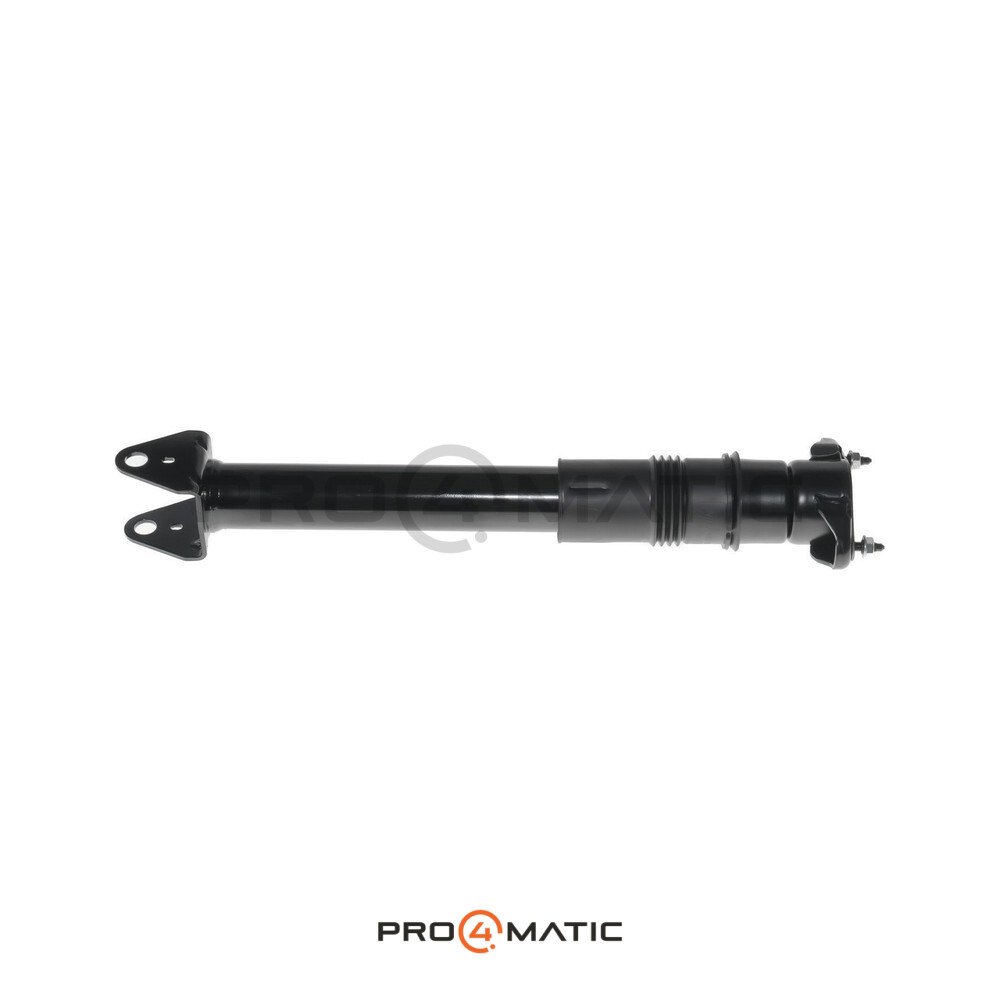 Amortiguador Trasero Mercedes Clase R W251 (3)