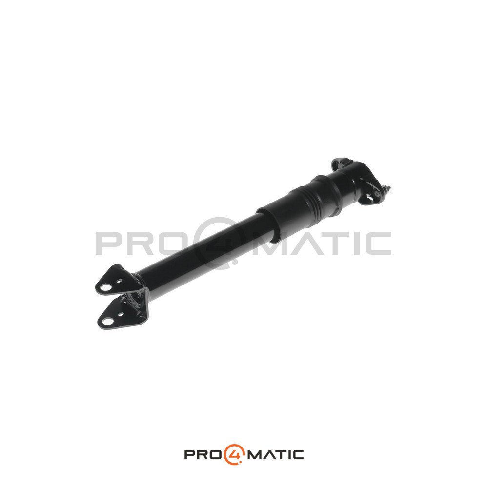 Amortiguador Trasero Mercedes Clase R W251 (2)