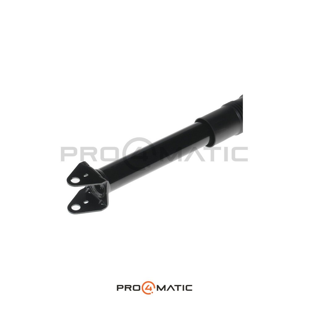 Amortiguador Trasero Mercedes Clase R W251 (4)