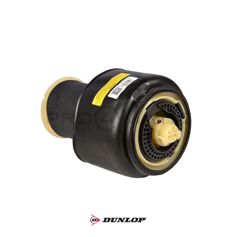 Balona Neumática tras. Dunlop BMW Serie 5 F07 F11 (1)