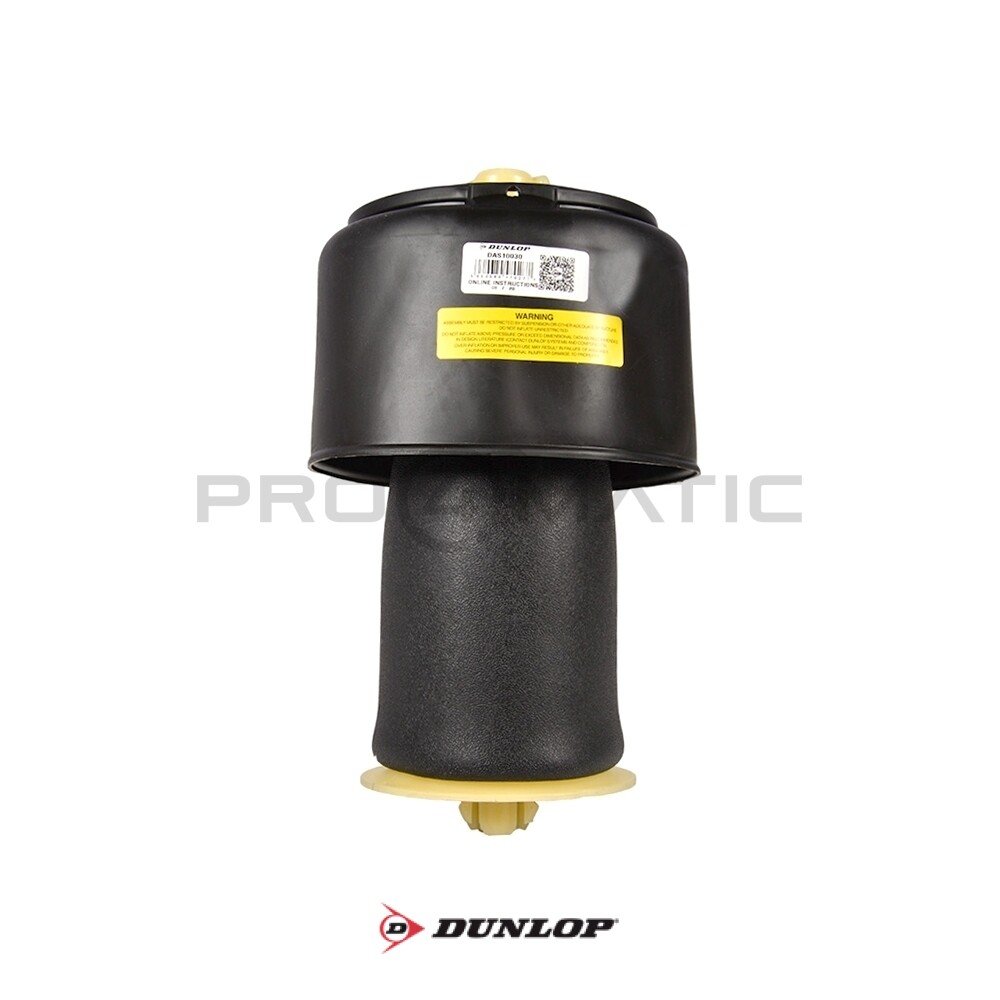 Balona Neumática tras. Dunlop BMW Serie 5 F07 F11 (3)