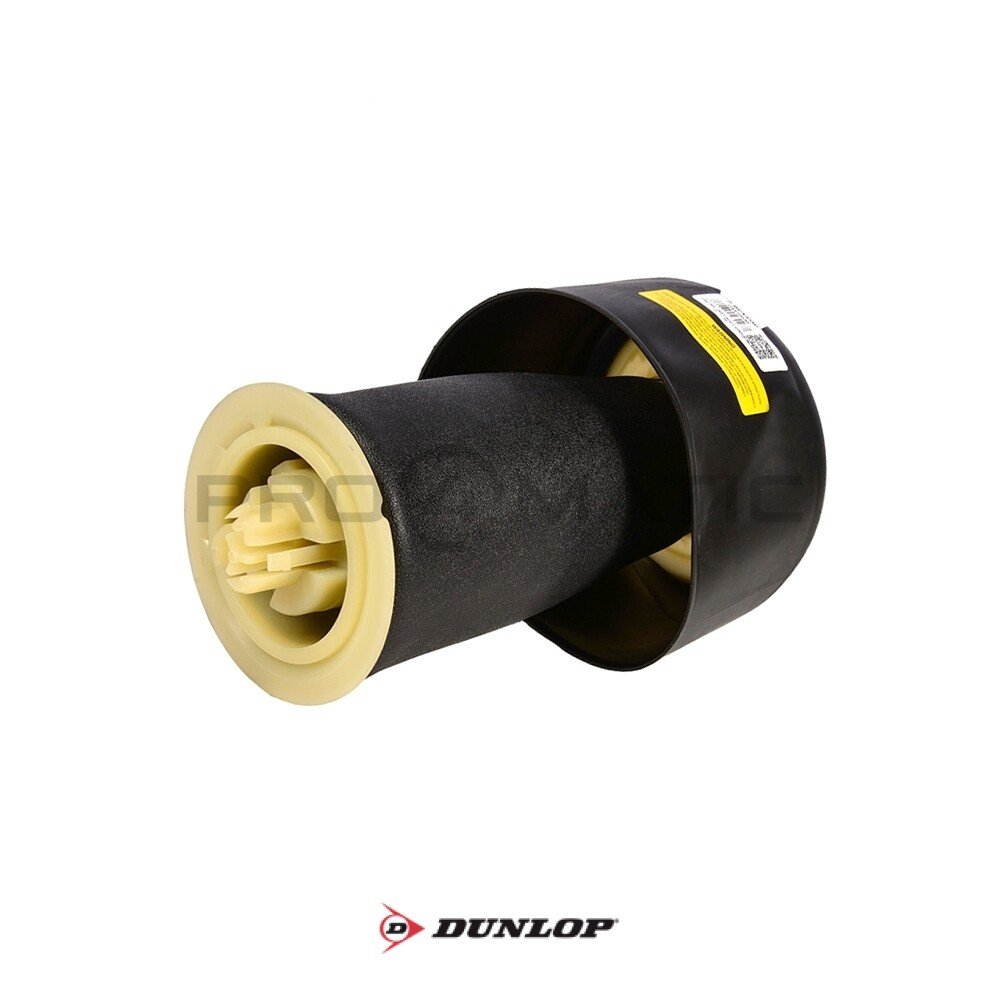 Balona Neumática tras. Dunlop BMW Serie 5 F07 F11 (2)