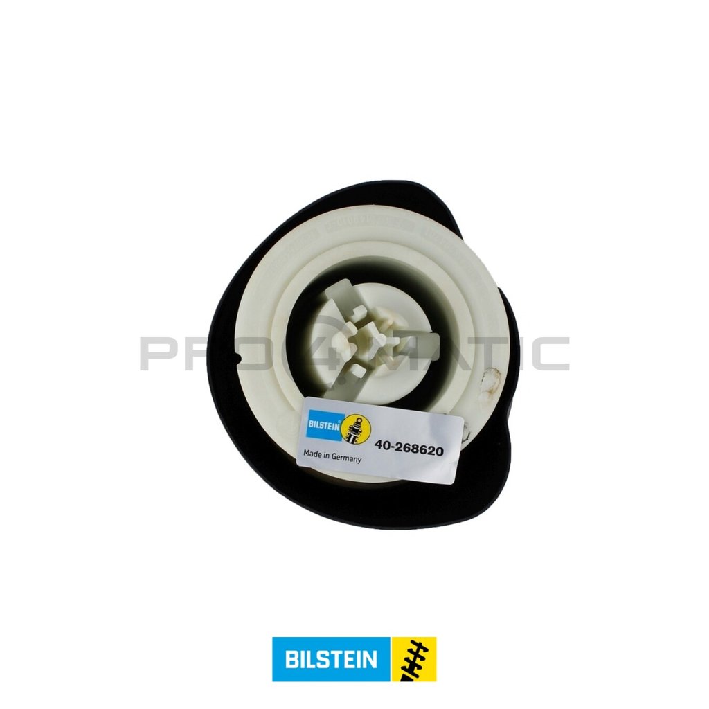 Balona Neumática Trasera BMW Serie 5 F07 F11 (2)